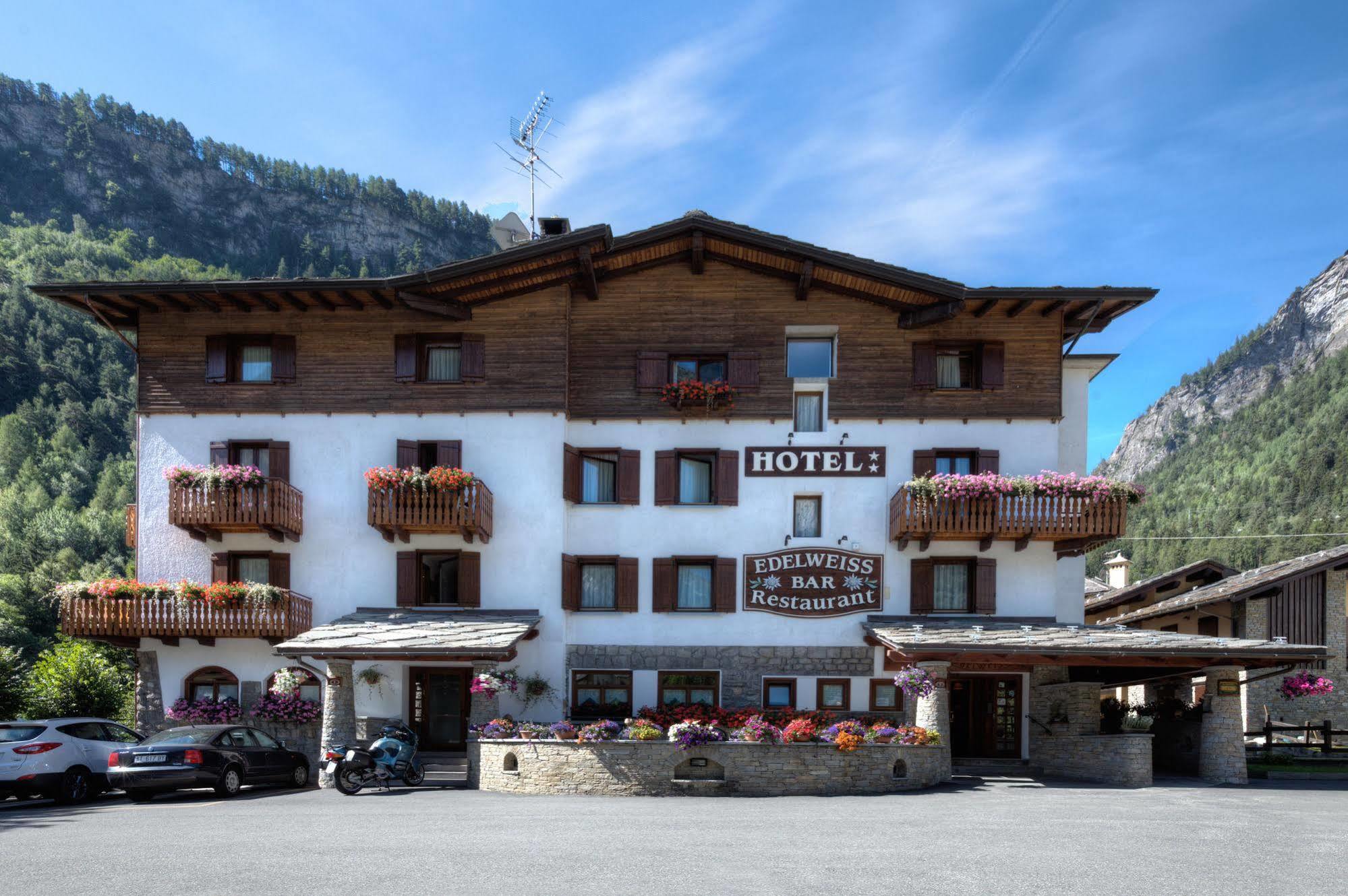 Edelweiss Hotel 3*
