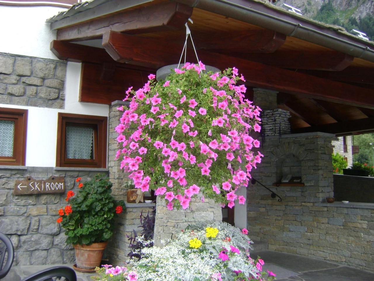 Edelweiss 3* Pre-Saint-Didier