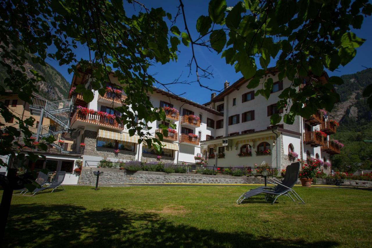Edelweiss Pre-Saint-Didier